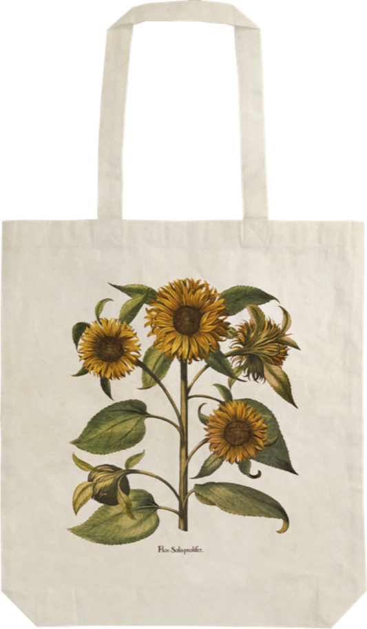 Canvas with Sunflowers image